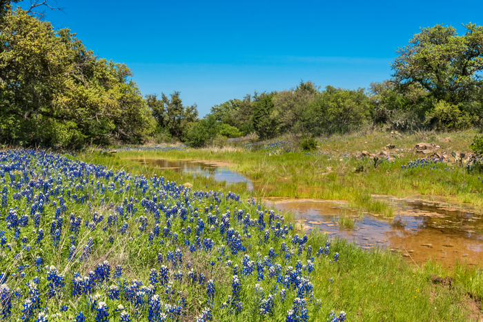 HELOTES, TEXAS  Backroads Reservations